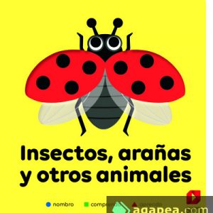 Insectos, arañas y otros animales